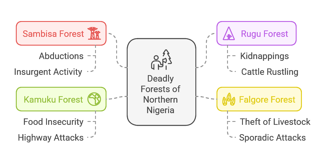 Combating Banditry and Insurgency: A Comprehensive Look at Northern Nigeria’s Deadly Forests